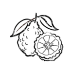 Bergamote