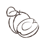 Abricot