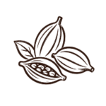 Cardamome