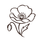 Coquelicot