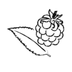 Framboise