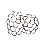 Mûre